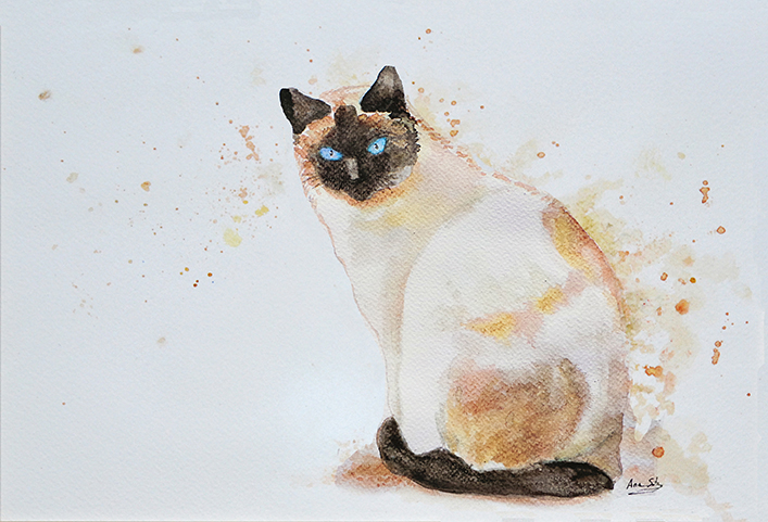 Gato blanco